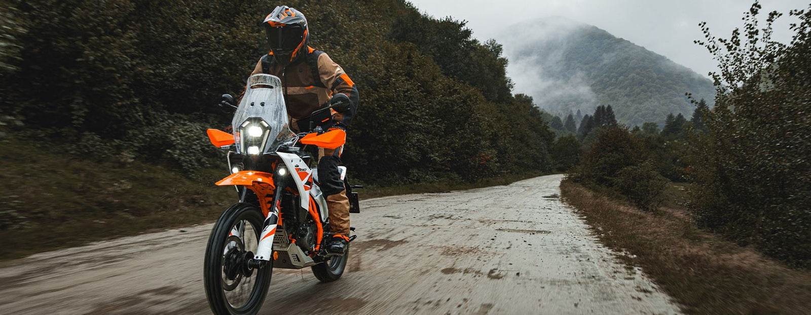 2025 390 ADV / ENDURO / SM