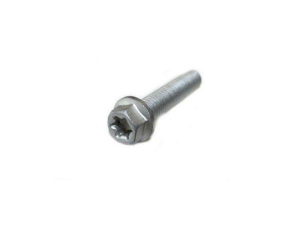 HH COLLAR SCREW M6X10     TX30