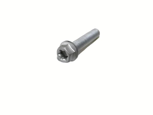 HH COLLAR SCREW  M6X45    TX30