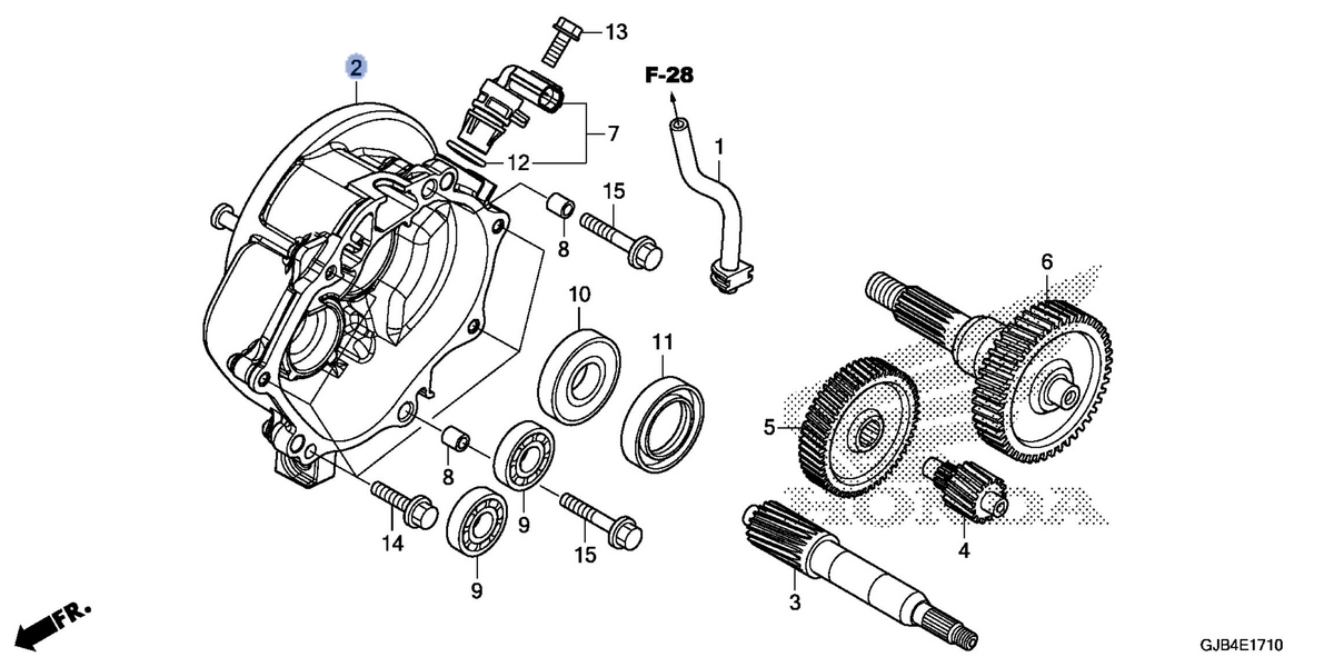 Honda OEM part 06113-GGZ-305