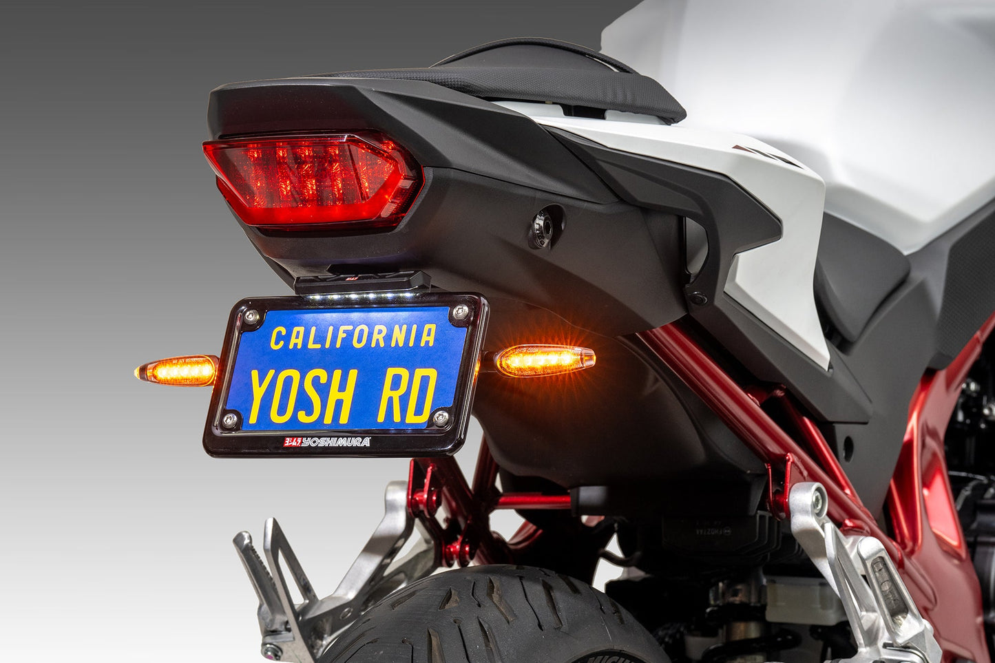CB750 Hornet 2025 V2 Fender Eliminator Kit - 075BG127600