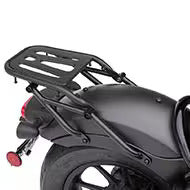 Rear Carrier