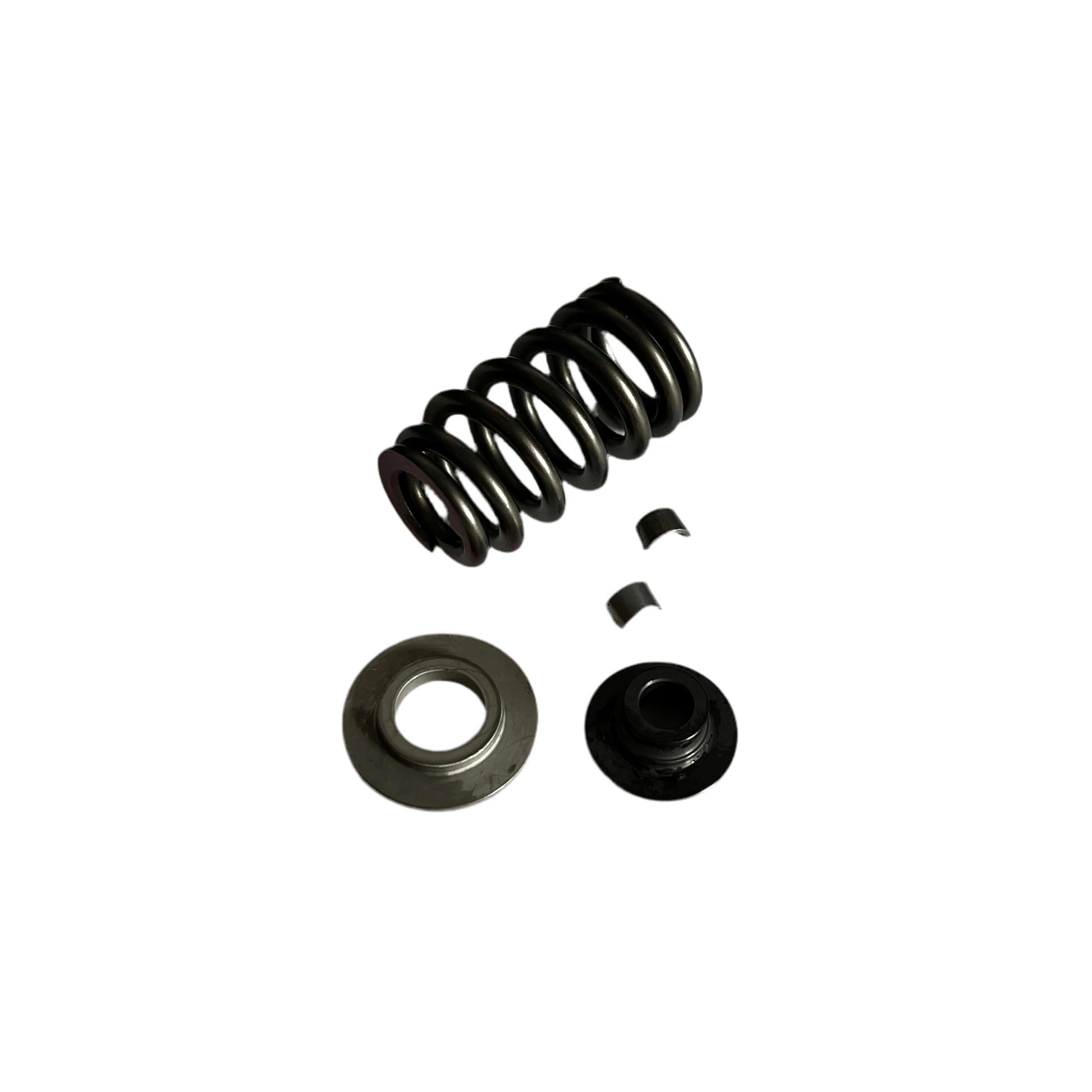 VALVE SPRING KIT EXHAUST