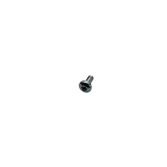INT. TORX OVAL HEAD M 5X10 8.8