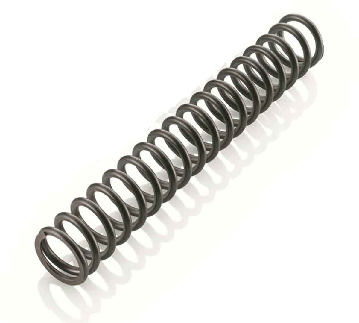 FORK SPRING