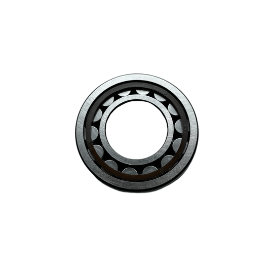 CYLINDER ROLLER BEARING NJ207