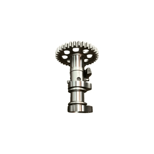 Camshaft exhaust valve with decal