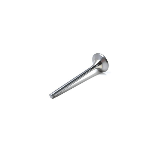 EXHAUST VALVE