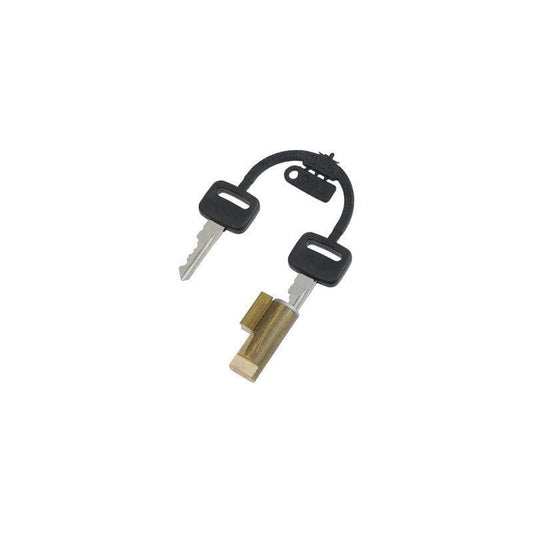 Steering lock