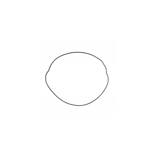 Clutch cover gasket, outside