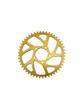 Gold Anodized