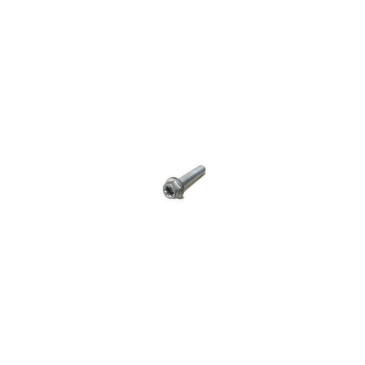 HH collar screw M6x50 TX30