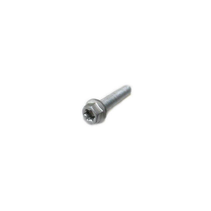 HH collar screw M8x35 TX40