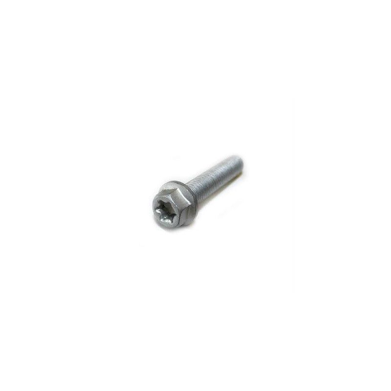 HH collar screw M5x12 TX30