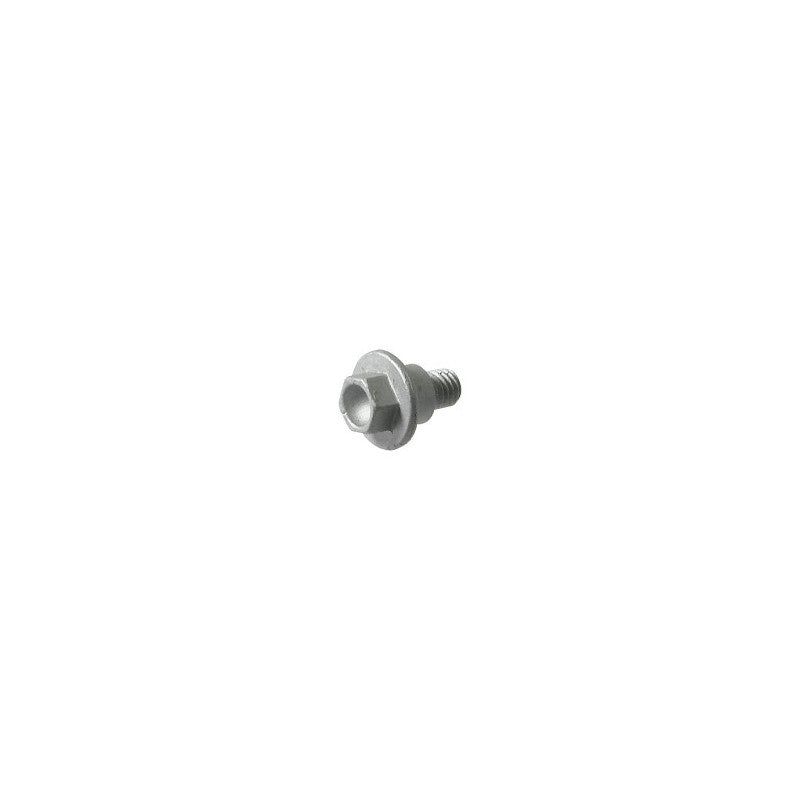 SPECIAL SCREW M6X12,5     WS 8