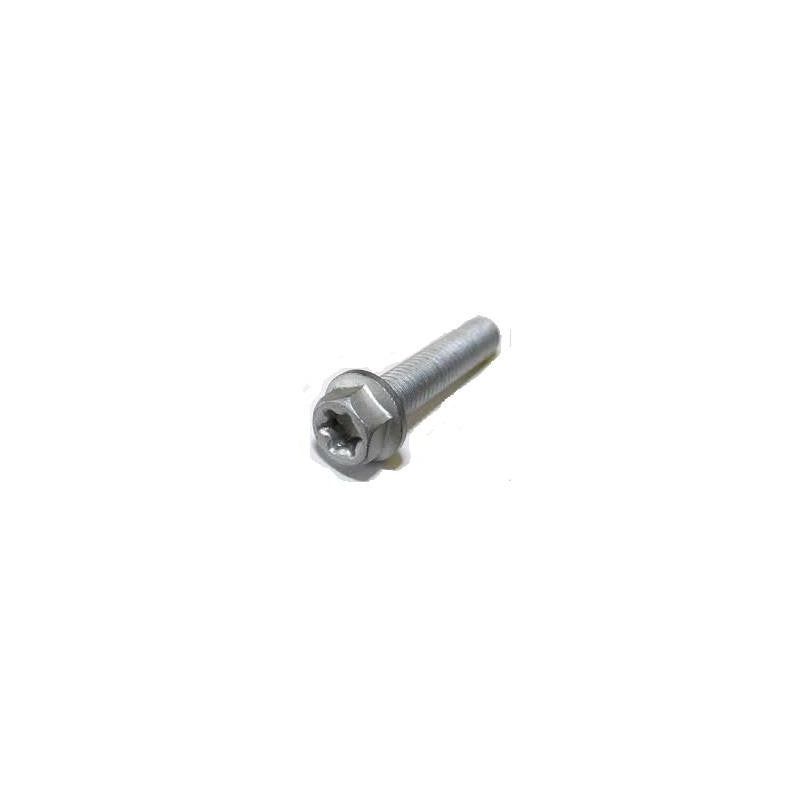 HH collar screw M5x20 TX30