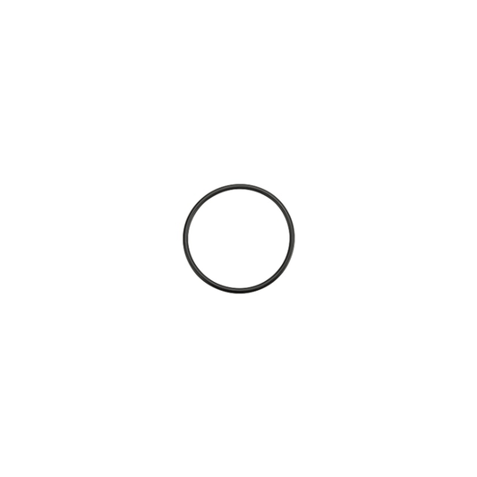 O-ring 25x1,5 Viton70