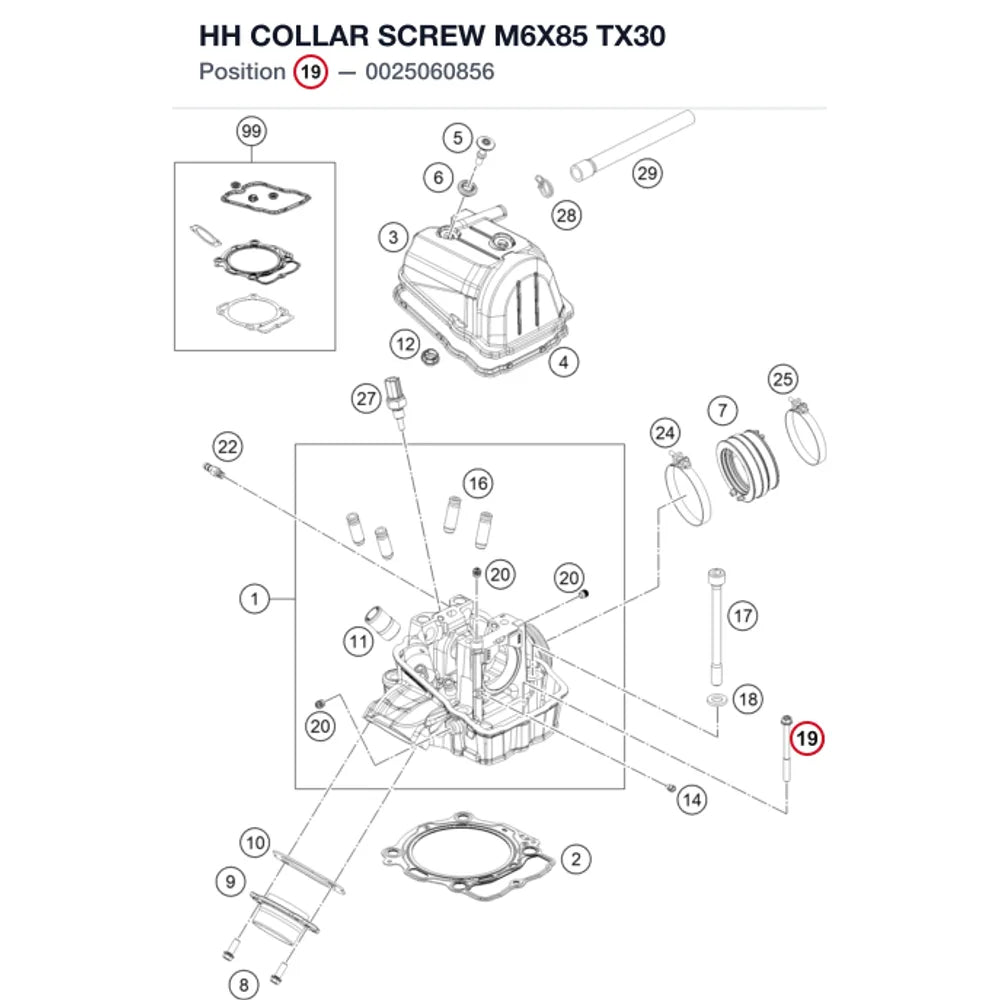 HH COLLAR SCREW M6X85     TX30