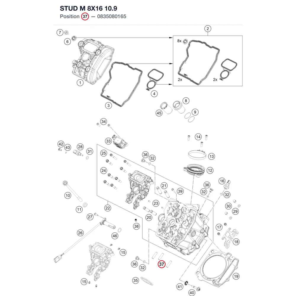 STUD M 8X16   10.9