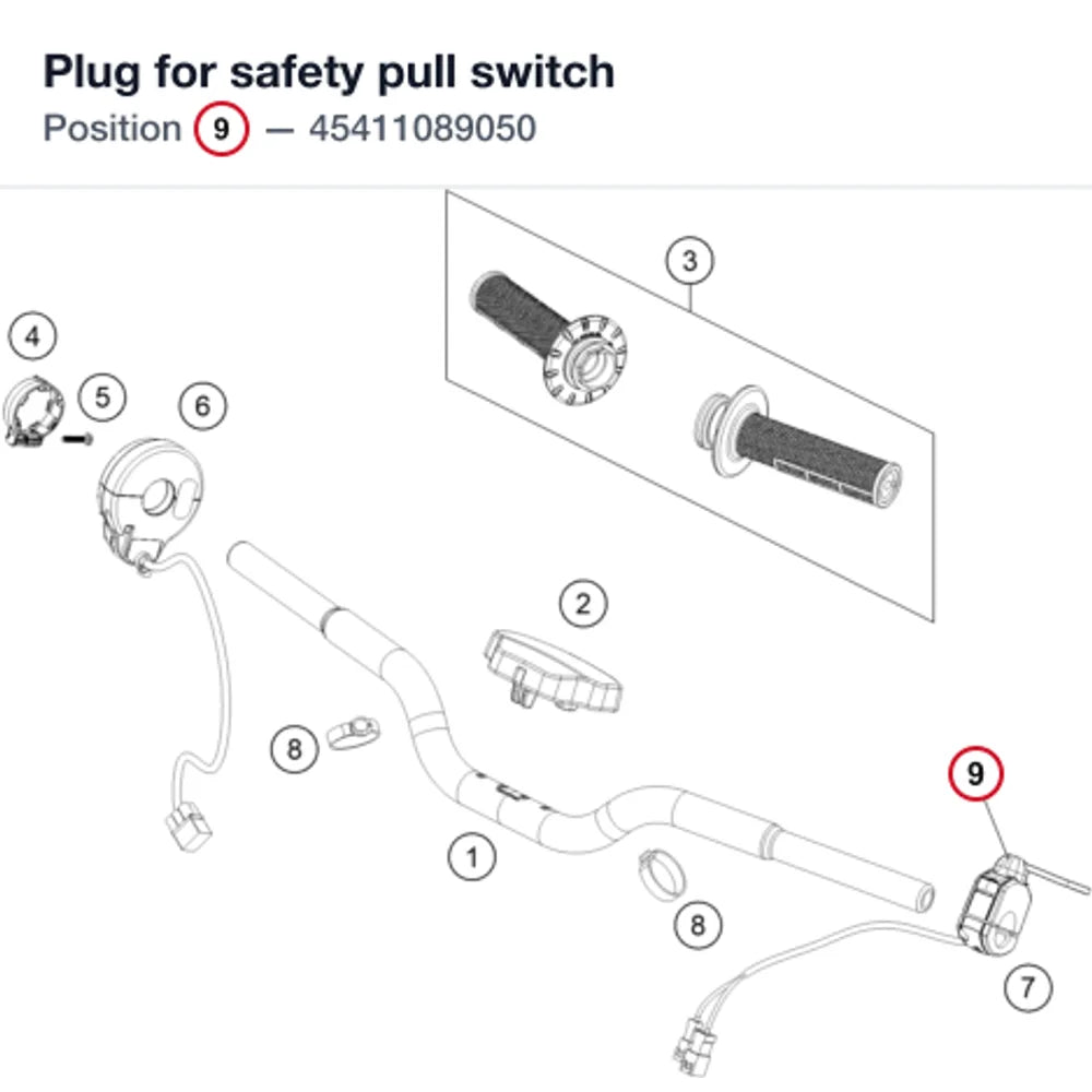 Plug for safety pull switch