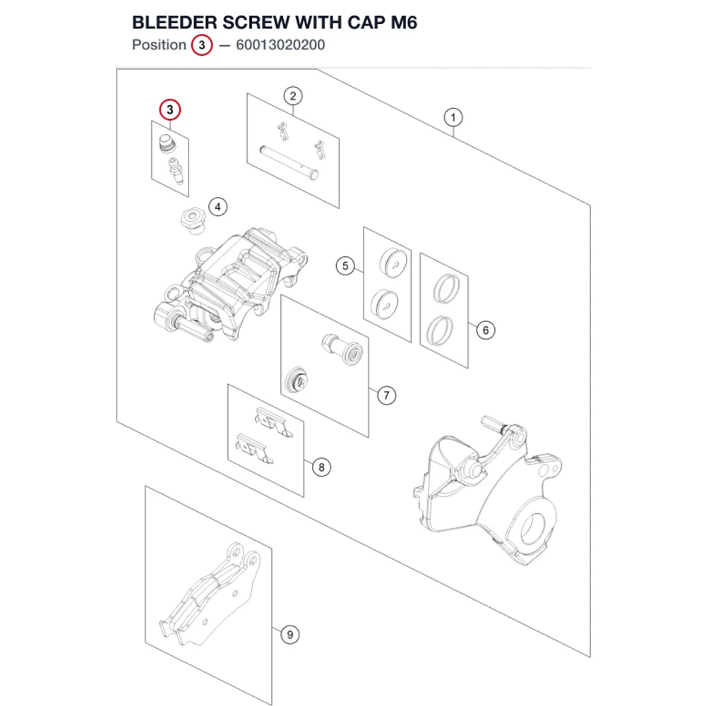 BLEEDER SCREW WITH CAP M6