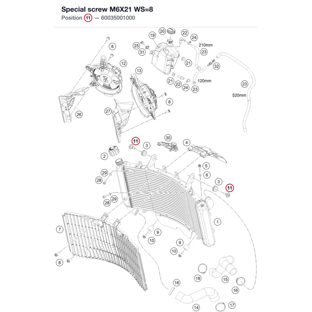 Special screw M6X21 WS=8