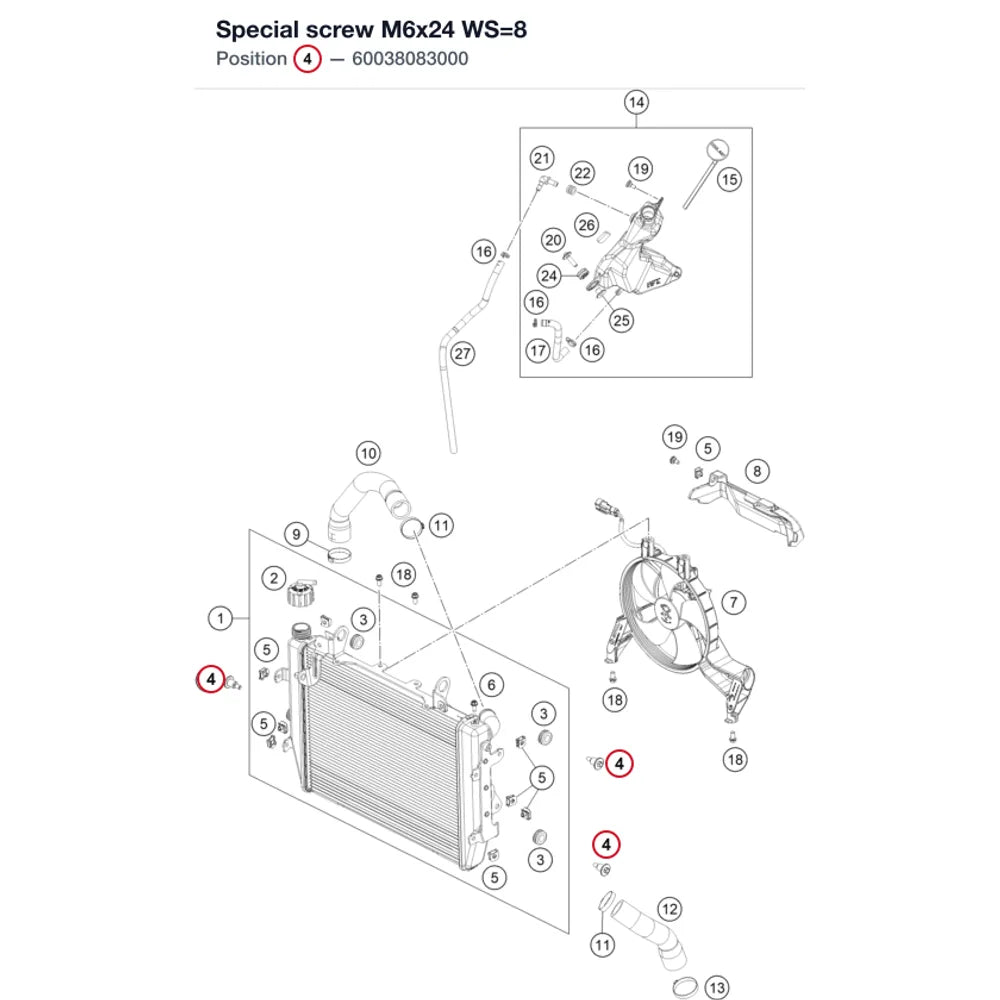 Special screw M6x24 WS=8