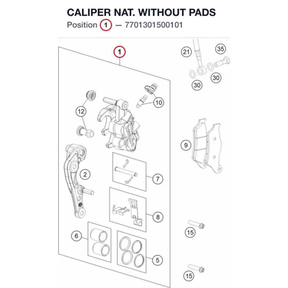 CALIPER  NAT.  WITHOUT PADS