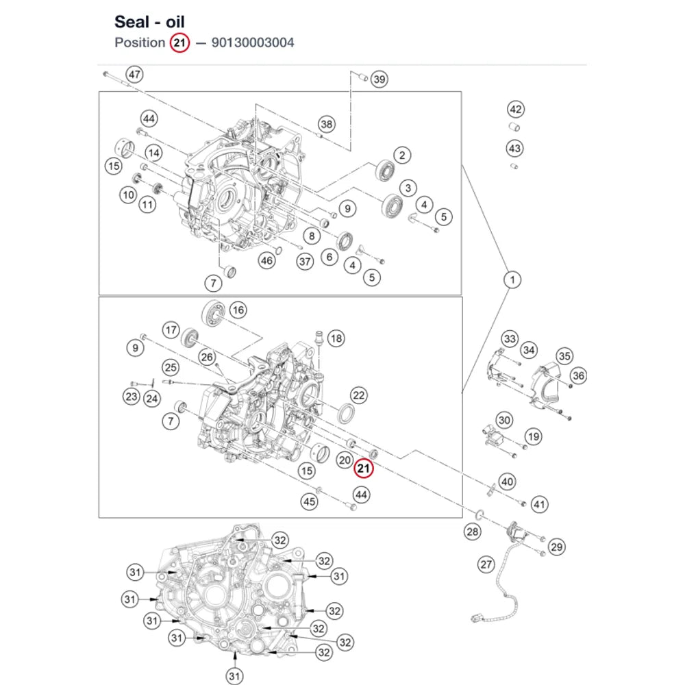 Seal - oil