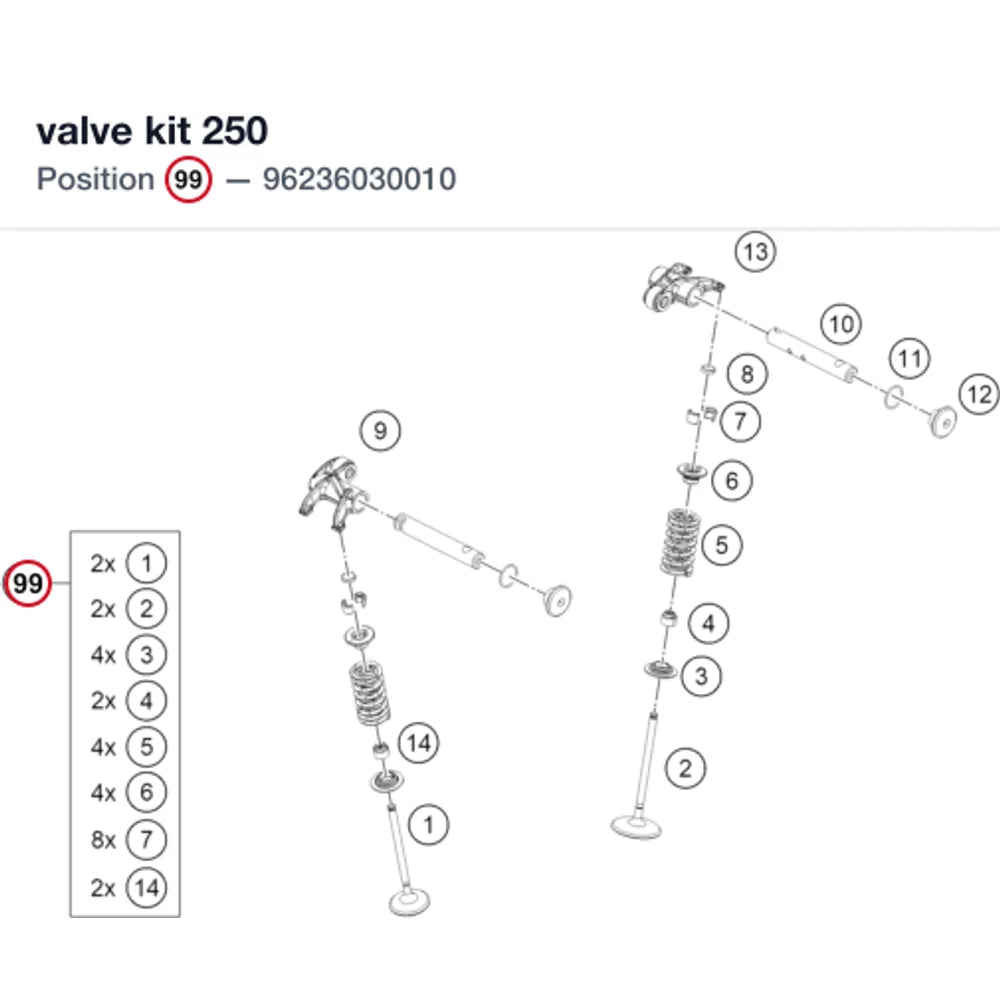 valve kit 250