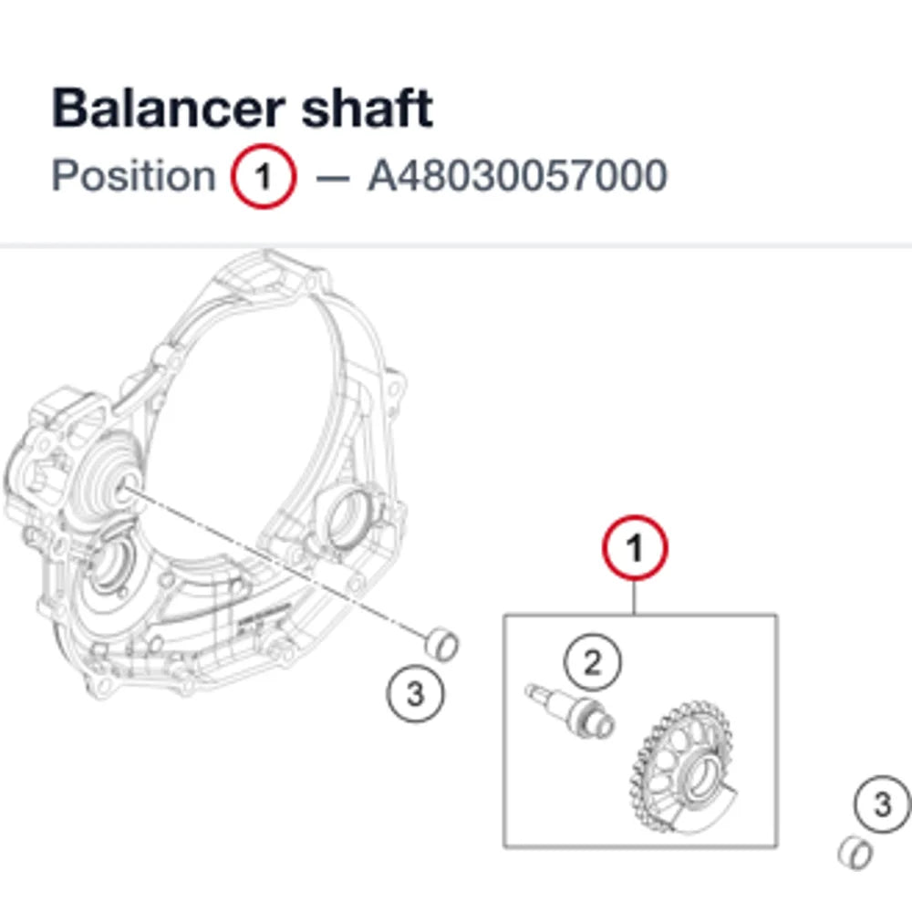 Balancer shaft