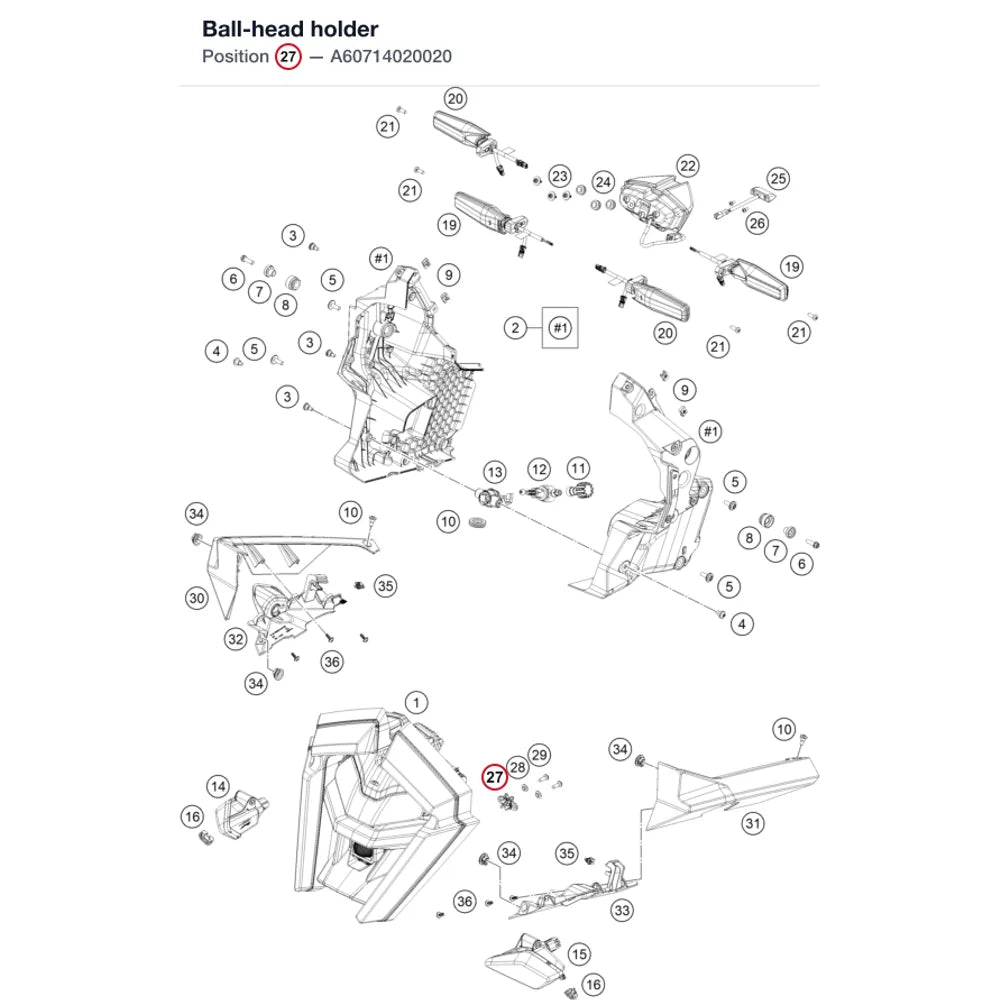 Ball-head holder