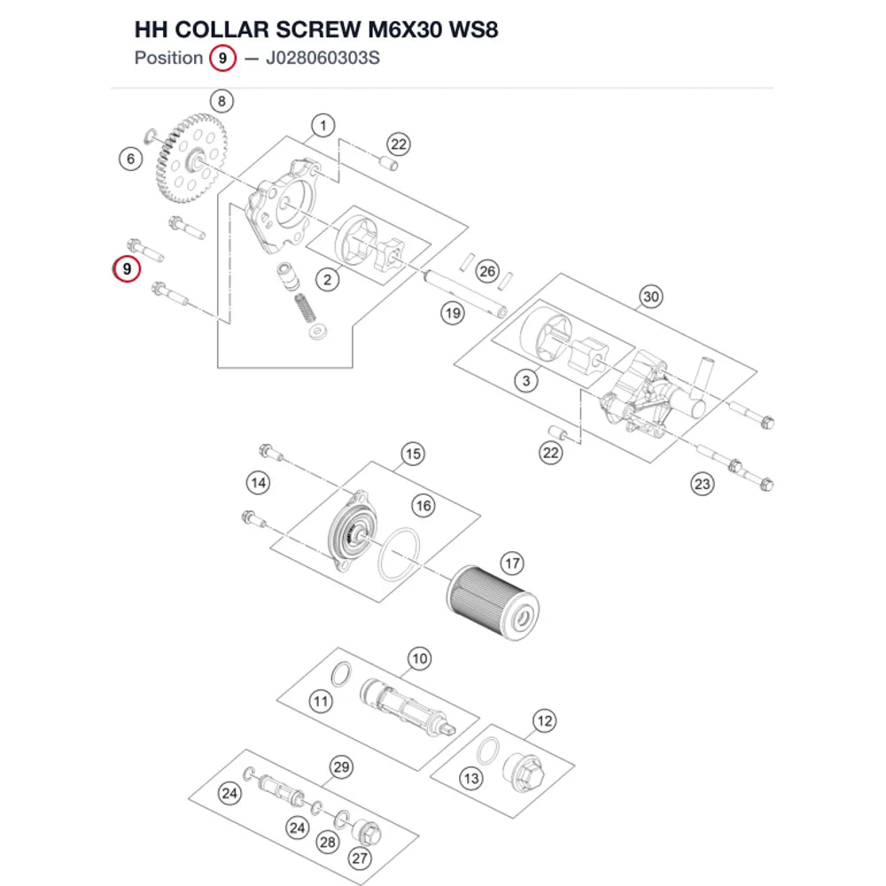 HH COLLAR SCREW M6X30 WS8