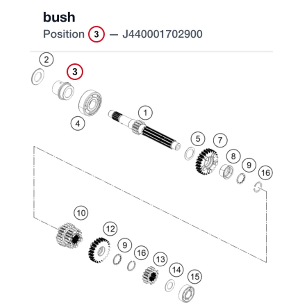 bush