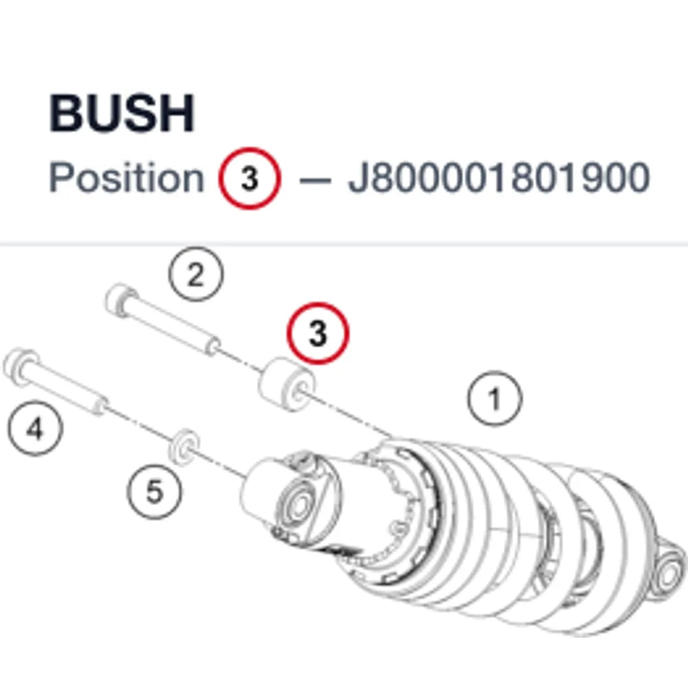 BUSH