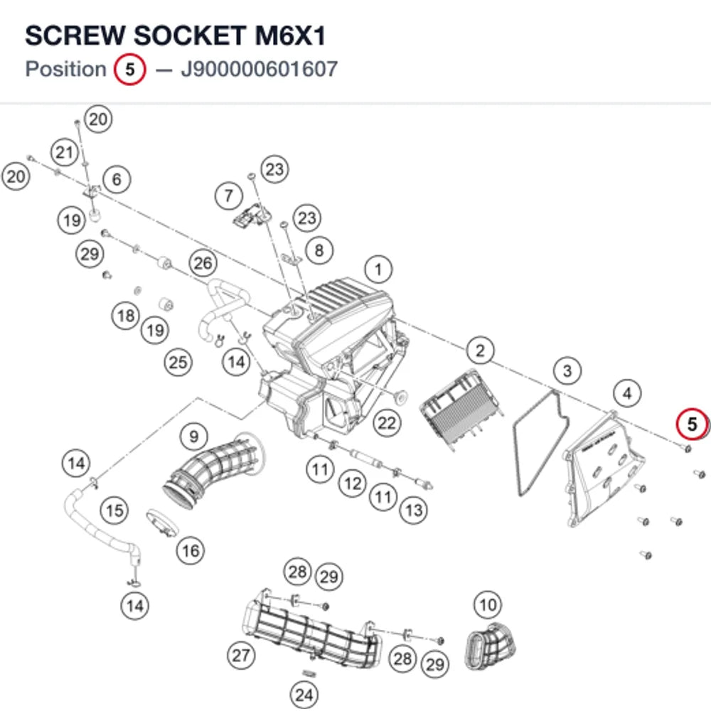 SCREW SOCKET M6X1