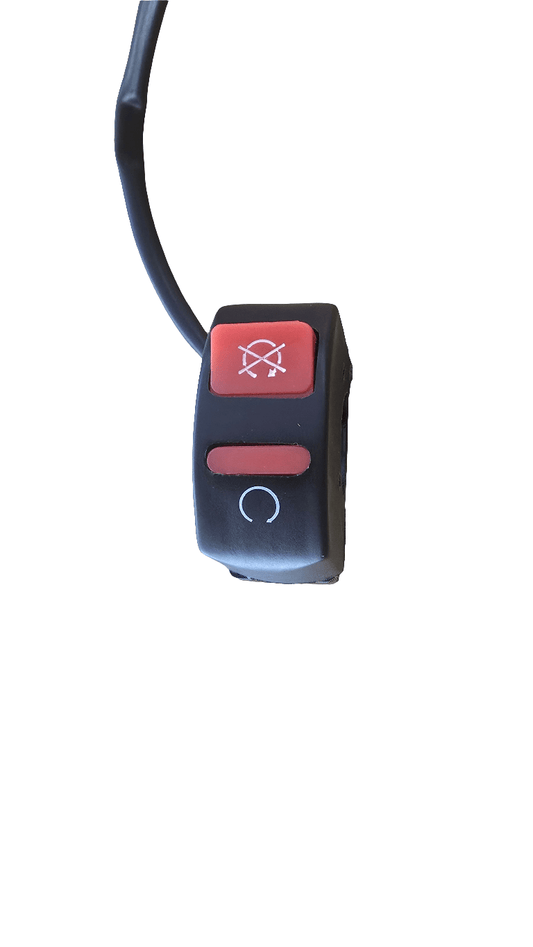 FLASHER SWITCH CEV &#039;98