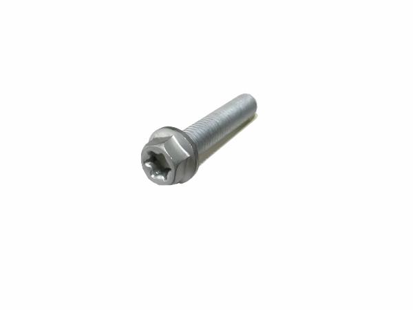 HH collar screw M6x20 TX30