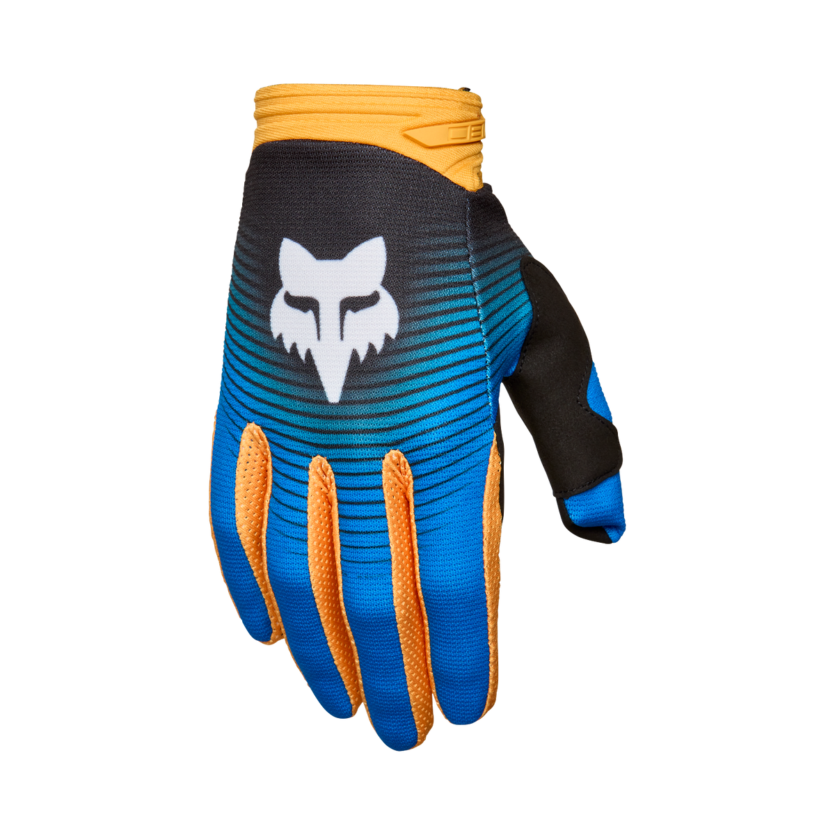 180 Collect Gloves – Blue