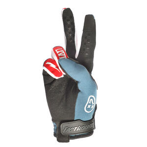 FASTHOUSE Speed Style The Bird Gloves