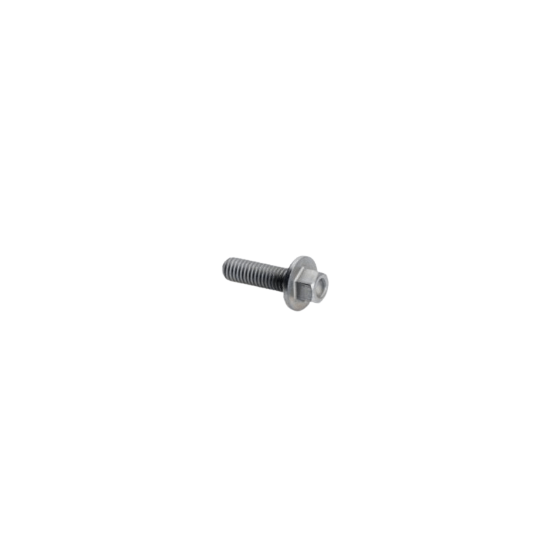 HH COLLAR SCREW M 5X16    WS 6